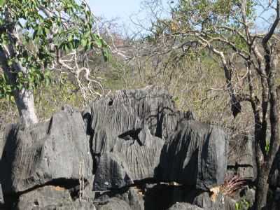 SERRA, POR JOO PEREIRA - SO JOO DO PACU - MG