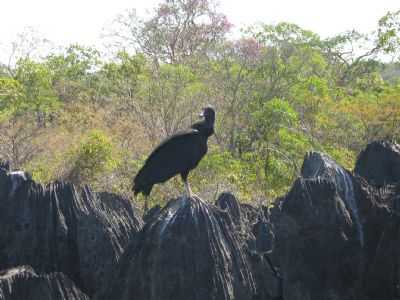 SERRA, POR JOO PEREIRA - SO JOO DO PACU - MG