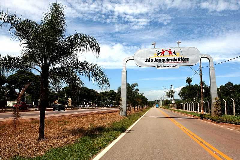 PORTAL DE ENTRADA DA CIDADE DE SO JOAQUIM DE BICAS - SO JOAQUIM DE BICAS - MG