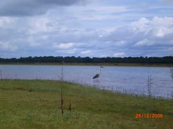 REPRESA -  POR MARCIA BONIZZI - SO JOS DO BURITI - MG