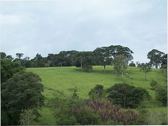 POR EDMILSON FRANCISCHINES - SO JOS DO PNTANO - MG