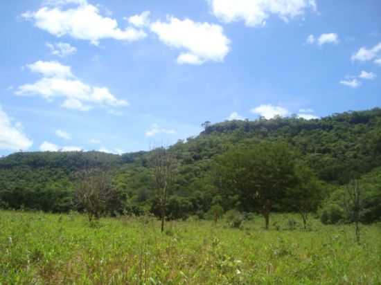 VISTA DA SERRA TORRES, POR TARCISIO - SO PEDRO DAS TABOCAS - MG