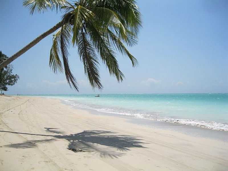 IMAGENS DA LOCALIDADE DE BARRA GRANDE - SP - BARRA GRANDE - AL