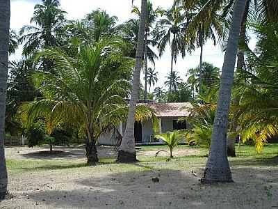 CASA TPICA  POR PAULO R.CANDIDO - BARRA GRANDE - AL