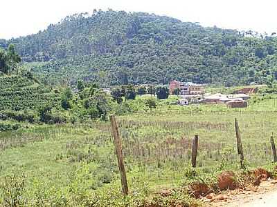 VISTA DA CIDADE-FOTO:ADRIANO TORRES CRAVO - SO SEBASTIO DA VARGEM ALEGRE - MG