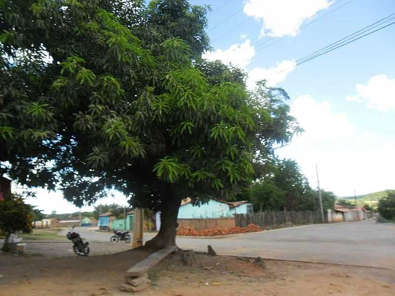 IMAGENS DA LOCALIDADE DE SO SEBASTIO DOS POES - MG DISTRITO DE MONTALVNIA - MG - SO SEBASTIO DOS POES - MG