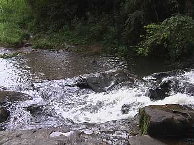 CACHOEIRA FOTO
GLAUCIO ALMEIDA - SAPUCA-MIRIM - MG