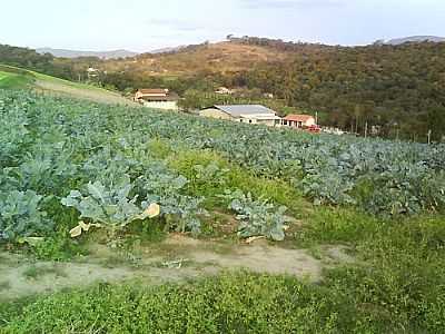 REA RURAL-FOTO: R & M  - SARZEDO - MG