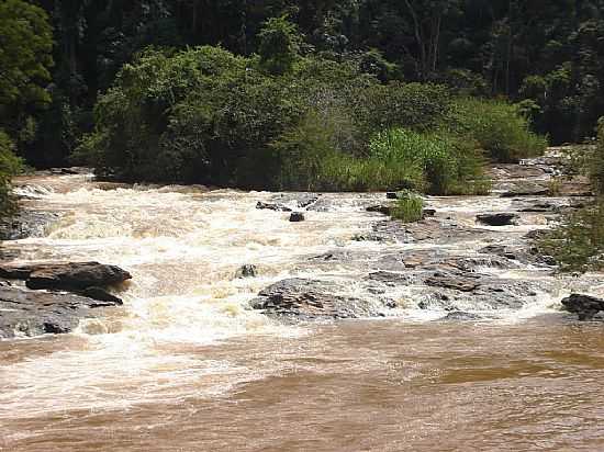 SAUDADE-MG-CORREDEIRA NO RIO DO CGADO-FOTO:JOSIASFM - SAUDADE - MG