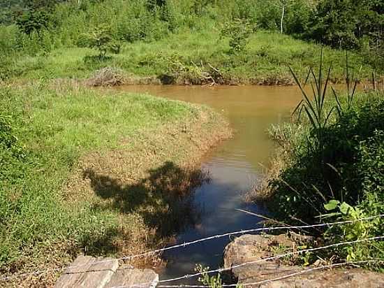 SAUDADE-MG-CRREGO DESEMBOCANDO NO RIO DO CGADO-FOTO:JOSIASFM - SAUDADE - MG