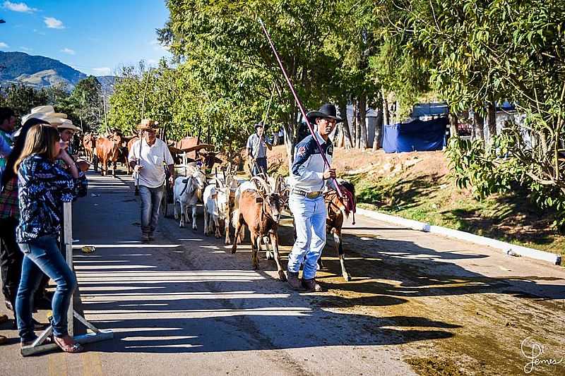 IMAGENS DA CIDADE DE SENADOR JOS BENTO - MG - SENADOR JOS BENTO - MG