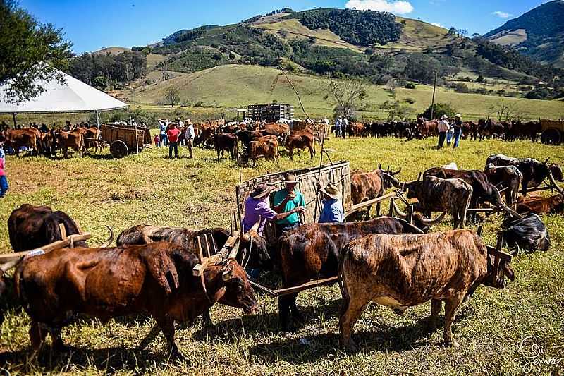 IMAGENS DA CIDADE DE SENADOR JOS BENTO - MG - SENADOR JOS BENTO - MG