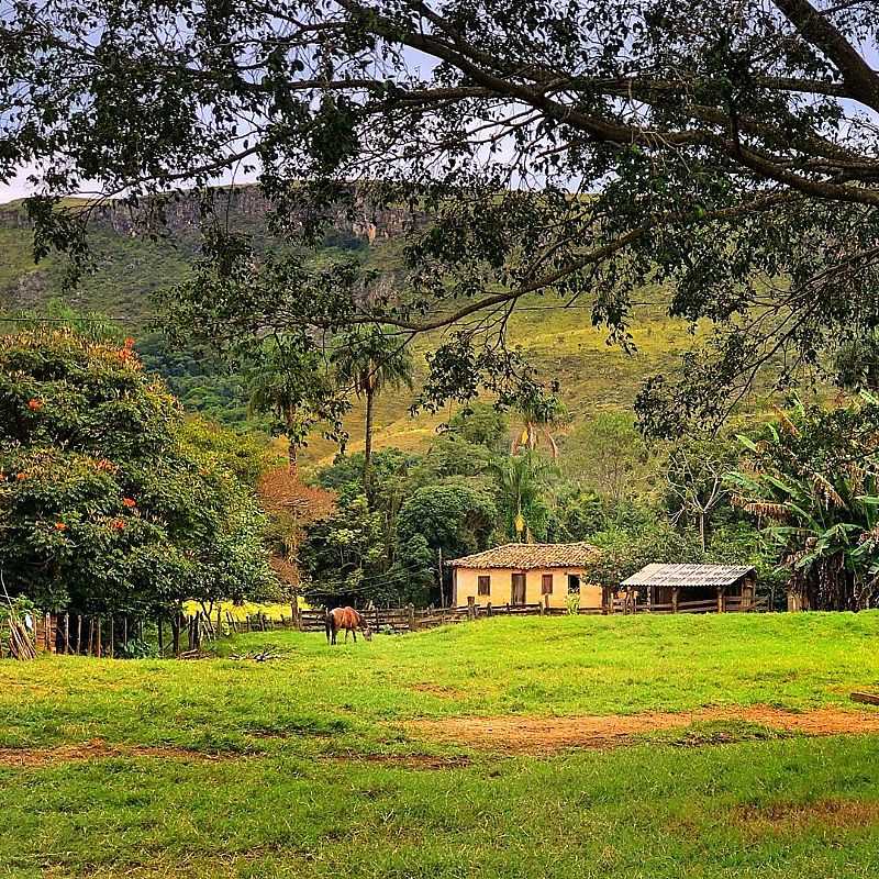 SERRA DA CANASTRA - MG
FOTOGRAFIA DE EZEQUIEL SILVEIRA - SERRA DA CANASTRA - MG