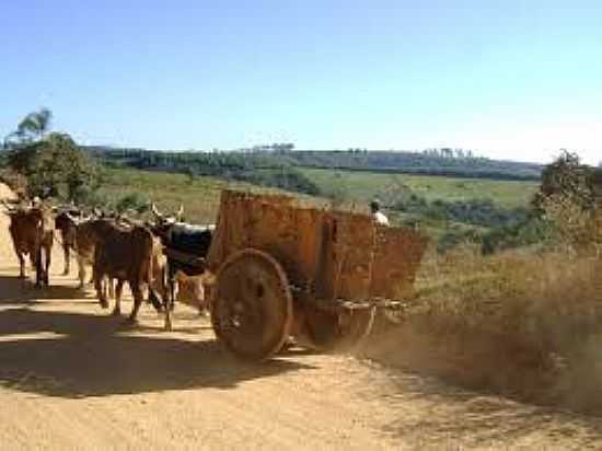 CARRO DE BOI NA SERRA DO CAMAPU-MG-FOTO:ULISSES PASSARELLI - SERRA DO CAMAPU - MG