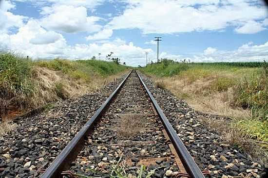 LINHA FRREA EM SERRA DO SALITRE-FOTO:WAGNER LOEBEL - SERRA DO SALITRE - MG