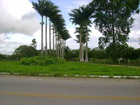 SERRA DOS AIMORS-MG-ESCOLA AGRCOLA-FOTO:JURANDIR RIOS - SERRA DOS AIMORS - MG