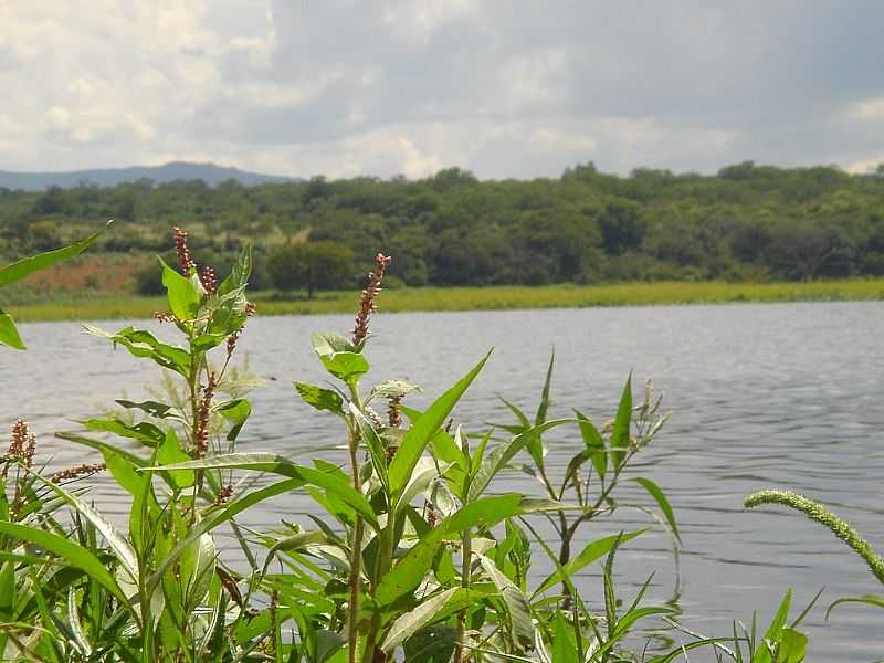 BARRA DO MENDES-BA-AUDE-FOTO:EWERTON MATOS - BARRA DO MENDES - BA