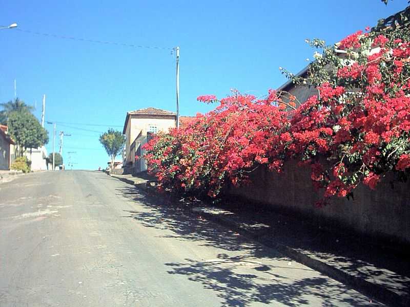 SERRANIA-MG-RUA DA CIDADE-FOTO:VINICIUSCOSTA - SERRANIA - MG