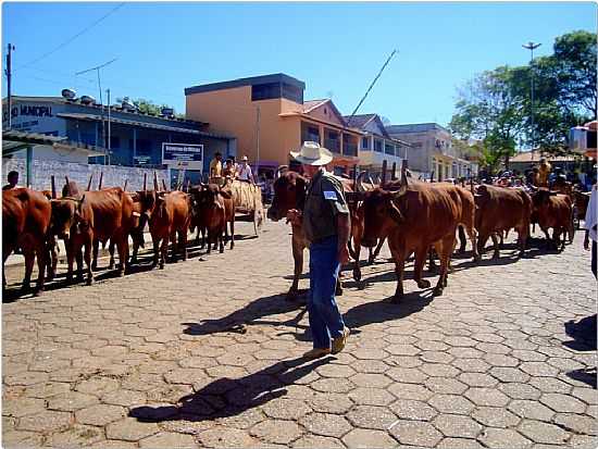 DESFILE DE CARRO DE BOI EM SILVIANPOLIS-MG-FOTO:KAIHARI - SILVIANPOLIS - MG