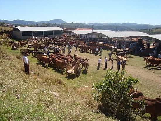 ESPAO DO EVENTO DESFILE DE CARRO DE BOI EM SILVIANPOLIS-MG-FOTO:KAIHARI - SILVIANPOLIS - MG