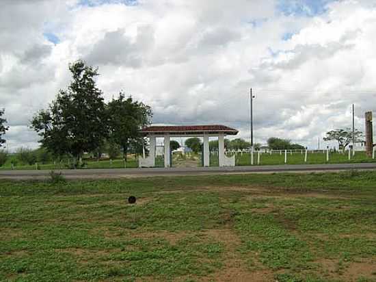 ENTRADA DO PARQUE DE EXPOSIO-FOTO:DANUBIO36 - BATALHA - AL