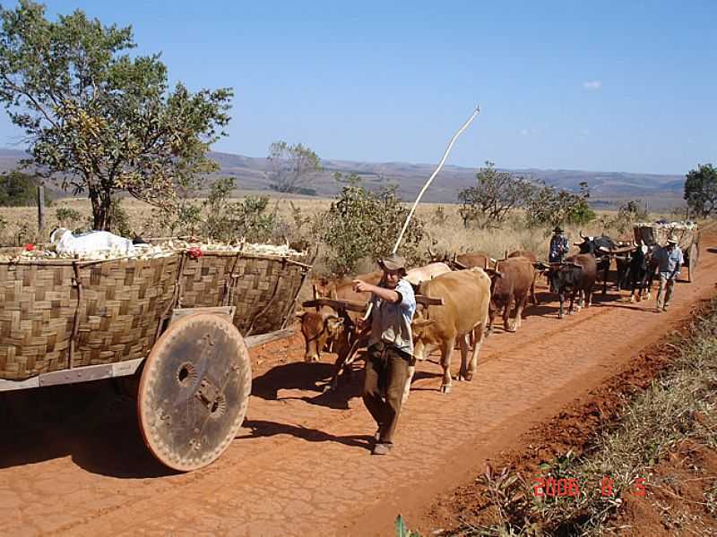 CARRO DE BOI - FOTO TAPIRA TEEN - TAPIRA - MG