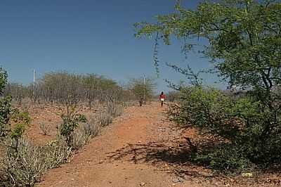 CAMINHO NA CAATINGA POR CHARLES NORTHRUP - BARRA DO TARRACHIL - BA