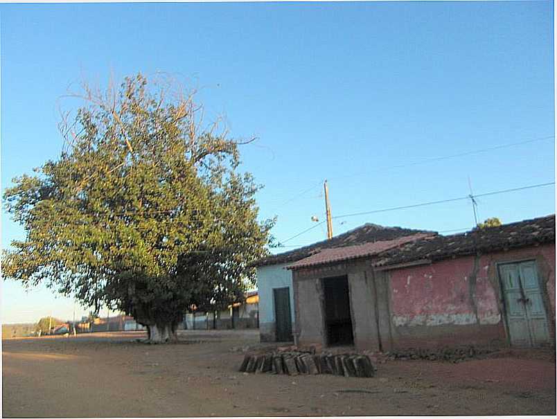 TEJUCO-MG-CENTRO DE TEJUCO-FOTO:RMULO HENOK - TEJUCO - MG