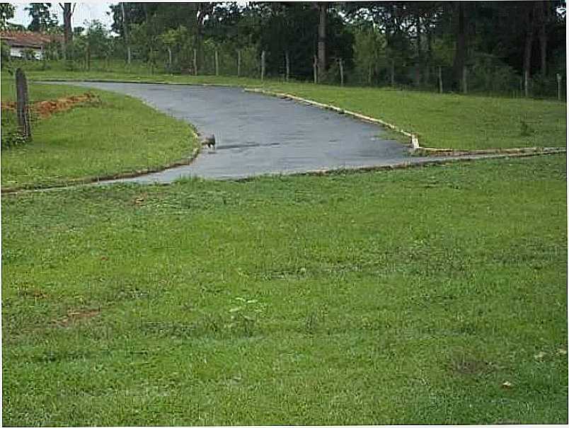 IMAGENS DA LOCALIDADE DE TERRA BRANCA - MG - TERRA BRANCA - MG