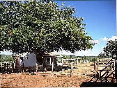 FAZENDA-FOTO:MIRO BILHARVAS  - TERRA BRANCA - MG