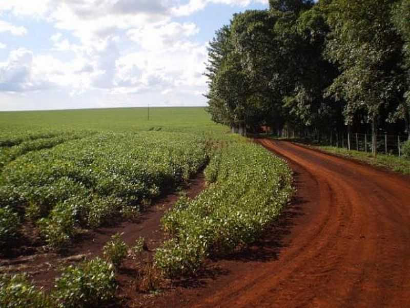 IMAGENS DE TOLEDO - MG - TOLEDO - MG