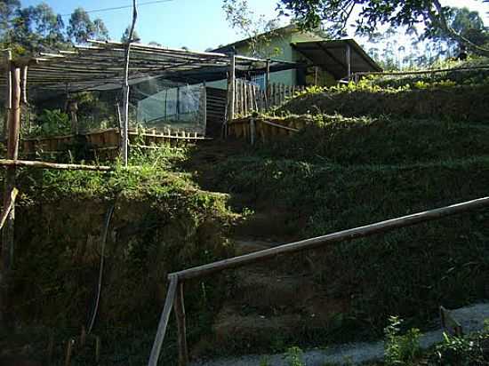 CENTRO DE TECNOLOGIA SOCIAL DE TORREES-FOTO:AUGUSTOJF - TORREES - MG