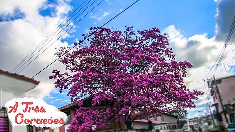 IMAGENS DE TRS CORAES - MG FOTO DE A TRS CORAES - TRS CORAES - MG