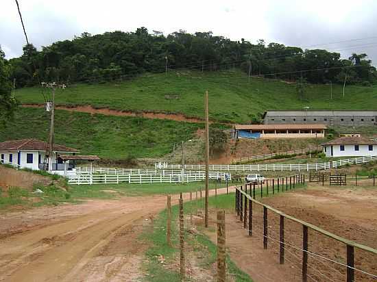 UBAPORANGA-MG-HARAS DE UBAPORANGA-FOTO:GUSTAVO STURZENECKER MOREIRA - UBAPORANGA - MG