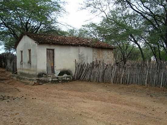 CASA EM REA RURAL DE BARRO VERMELHO-BA-FOTO:EWERTON MATOS - BARRO VERMELHO - BA