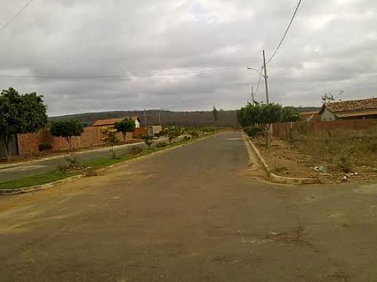 AVENIDA DE VARGEM GRANDE DO RIO PARDO-FOTO:JONAS OLIVEIRA - VARGEM GRANDE DO RIO PARDO - MG