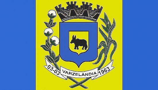 BANDEIRA  DE VARZELANDIA-MG - VARZELNDIA - MG