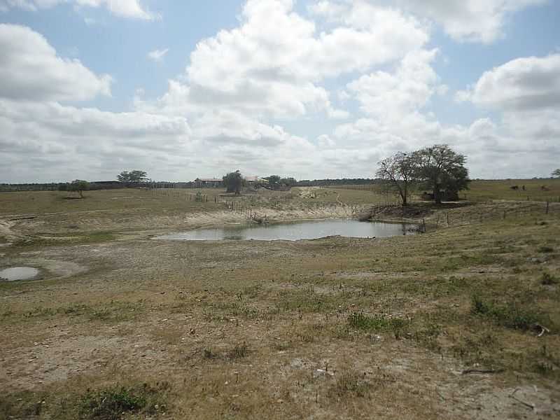 BARROCAS-BA-LAGOA NA FAZENDA CIP-FOTO:AQUILINO SILVA - BARROCAS - BA