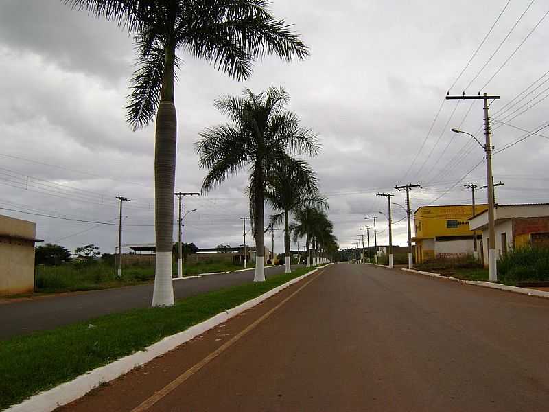 VAZANTE-MG-PALMEIRAS NA AVENIDA DE ENTRADA-FOTO:JOSE EYMARD - VAZANTE - MG