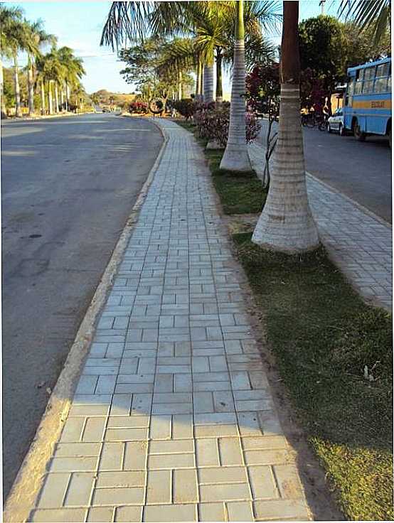 CANTEIRO DA AV. RENATO AZEREDO, POR DANNIEL - VERDELNDIA - MG