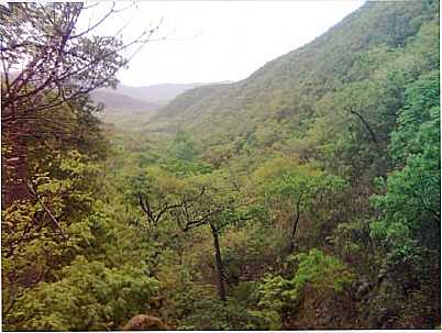 SERRA DA JAIBA (AGRESTE), POR SANDRO BRANDAO - VERDELNDIA - MG
