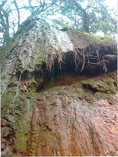 SERRA DA JAIBA (AGRESTE), POR SANDRO BRANDAO - VERDELNDIA - MG