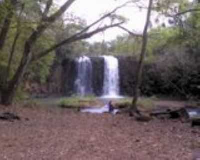 CACHOEIRA DOMINGUINHO, POR STEFERSON - VERSSIMO - MG