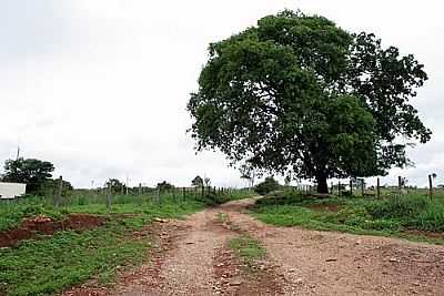 IMAGEM-FOTO:D. ANDRADE  - VILA NOVA DE MINAS - MG