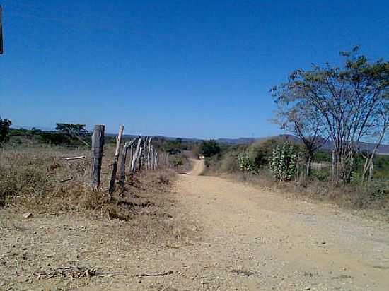 ESTRADA REA RURAL-FOTO:BVB - VILA NOVA DOS POES - MG