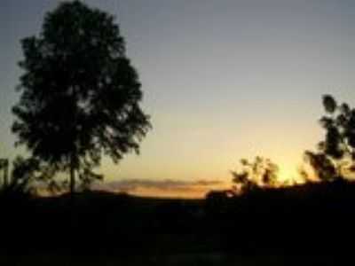 PR DO SOL EM VILA PEREIRA, POR ALESSANDRO AMARAL - VILA PEREIRA - MG