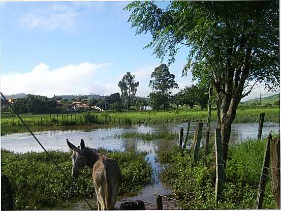 VZEA DO RIO UMBURANA, POR ADELSON FERRER - BATINGA - BA