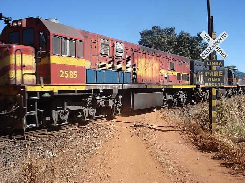 ZELNDIA-MG-LOCOMOTIVA NA CIDADE-FOTO:CBNETTO007 - ZELNDIA - MG