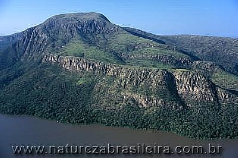 AMOLAR-MS-LAGOA MANDIOR-FOTO:NATUREZA BRASILEIRA  - AMOLAR - MS