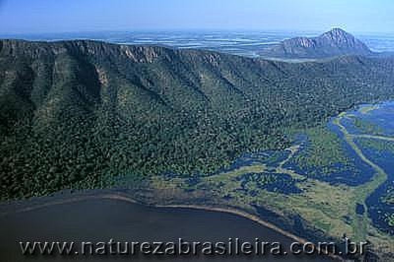 AMOLAR-MS-LAGOA MANDIOR-FOTO:NATUREZA BRASILEIRA - AMOLAR - MS